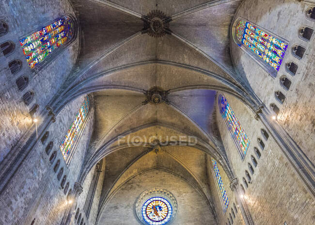 España, Cataluña, Girona, catedral de Santa María, arcos góticos de la nave (siglo XV)) - foto de stock