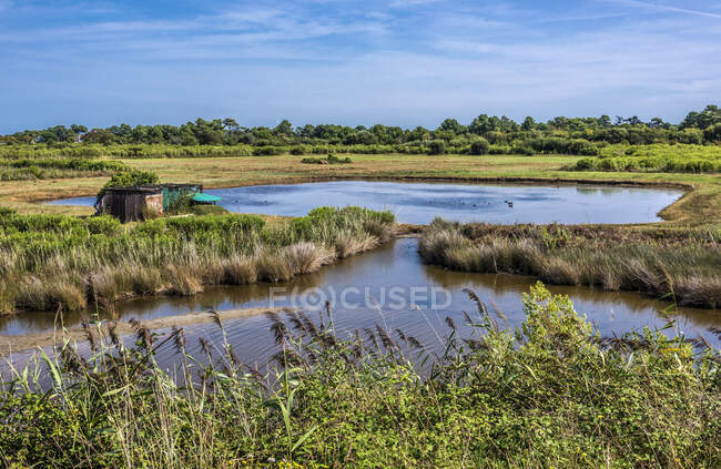 France, Gironde, baie d'Arcachon, Gujan-Mestras, marais salants de La Hume et cabane de trappeurs pour la chasse au canard — Photo de stock