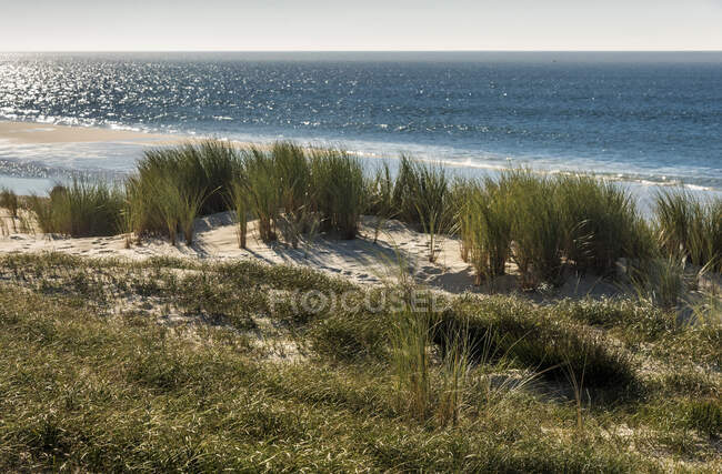 France, Gironde, Bassin d'Arcachon, La Lagune beach on the Atlantic Ocean — Stock Photo