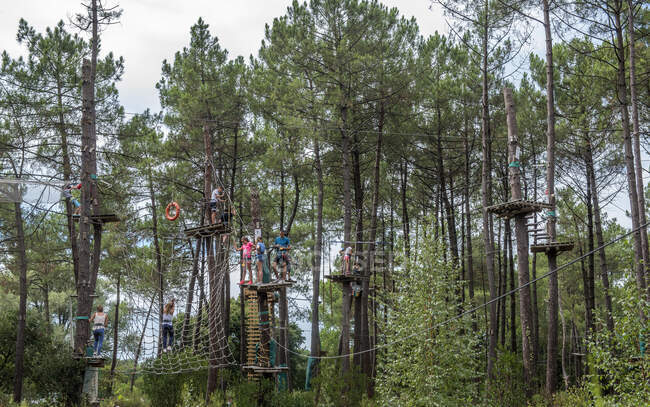 France, Gironde, Bassin d'Arcachon, Gujan-mestras, Accrobranche (parc aventure) dans les pins — Photo de stock