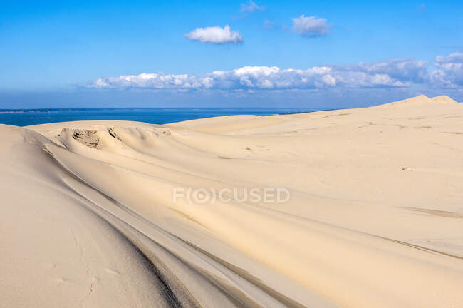 France, Gironde, Bassin d'Arcachon, drawings in the sand of the Dune of Pilat due to the wind — Stock Photo