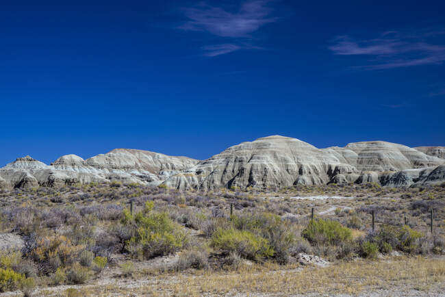 USA, Wyoming desert lanscape — Stock Photo