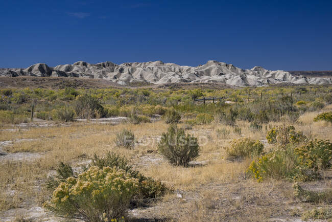 Estados Unidos, Wyoming desert lanscape - foto de stock