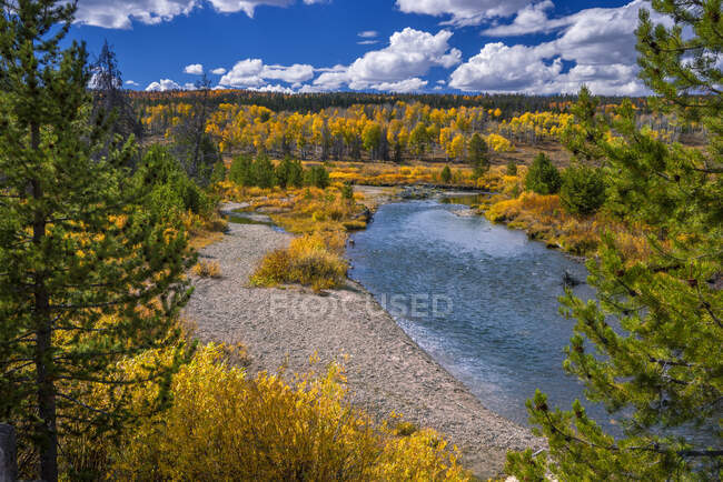 USA, Wyoming, river in an autumn landscape, aspens and pines — Stock Photo
