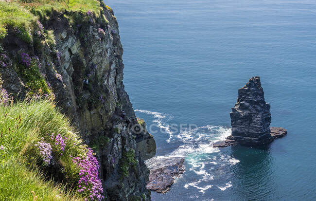 Europe, République d'Irlande, Comté de Clare, Burren et falaises du Géoparc de Moher (patrimoine mondial de l'UNESCO), falaises nord et affleurements rocheux causés par l'érosion marine — Photo de stock