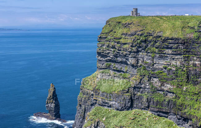 Europa, República da Irlanda, Condado de Clare, Burren e Cliffs of Moher Geopark (Património Mundial da UNESCO), falésias do Norte e afloramento rochoso causado pela erosão do mar, visto das falésias do Sul — Fotografia de Stock