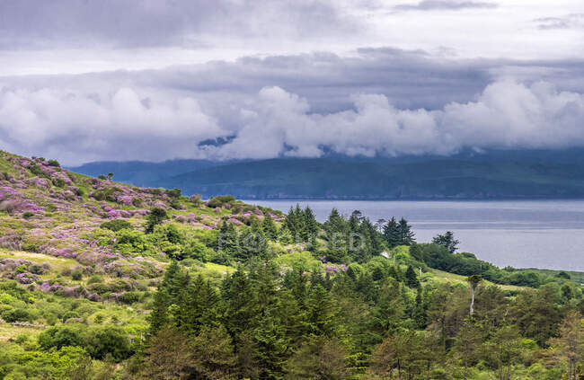 Republik Irland, County Kerry, Iveragh Paninsula, Ring of Kerry, wilde Landschaft am Meer — Stockfoto