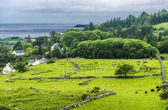 Republic of Ireland, County Kerry, Iveragh Paninsula, Ring of Kerry , rural life by the sea — Stock Photo