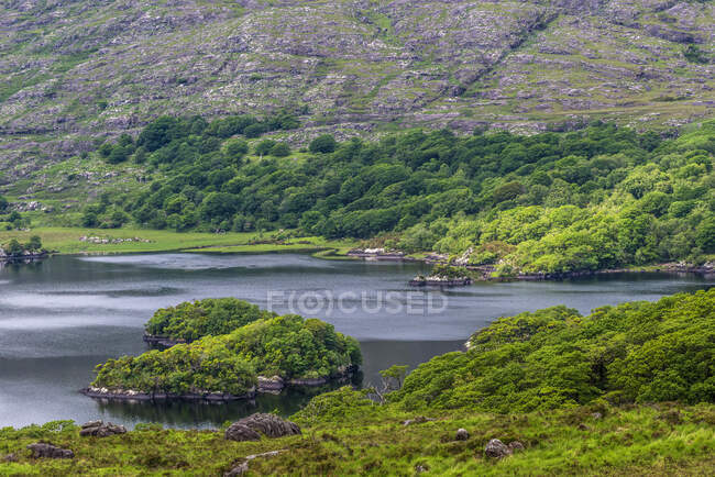 Republic of Ireland, County Kerry, Killarney National Park, Muckrouse House, lago visto da 
