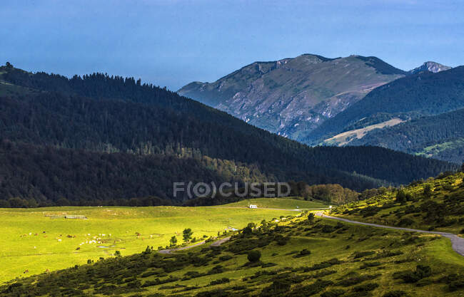 France, Hautes-Pyrenees, Col de la Hourquette d'Ancizan (1564 metres), between the valleys of Aure and Campan, pastoral area down to Payolle — Stock Photo