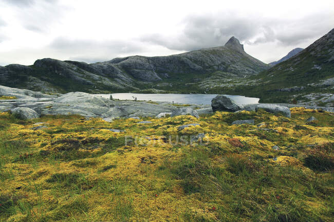 Europa, Noruega, Nordland, Bodo - foto de stock