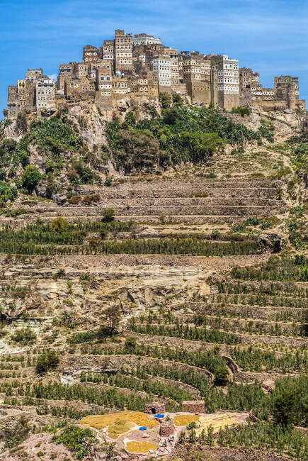 Medio Oriente, Yemen, Centro Ovest, regione di Jebel Harraz (Lista dei Patrimoni dell'Umanità UNESCO) villaggio collinare e coltivazione di terrazze ad Al Hajjarah — Foto stock