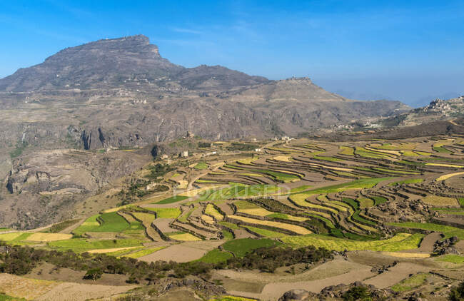 Oriente Medio, Yemen, Centro Oeste, Región de Jebel Harraz (Lista Tentativa del Patrimonio Mundial de la UNESCO), cultivos de pueblos y terrazas (disparo 03 / 2007) - foto de stock