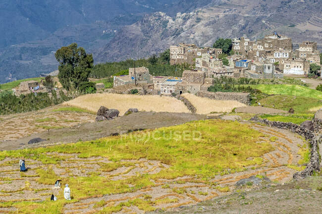 Близький Схід, Ємен, Центр Заходу, регіон Джебель-Харраз (Перелік світової спадщини ЮНЕСКО), сільське життя — стокове фото