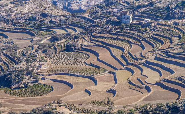 Oriente Medio, Yemen, Centro Oeste, Región de Jebel Harraz (Lista Tentativa del Patrimonio Mundial de la UNESCO), cultivo de terrazas (disparo 03 / 2007) - foto de stock