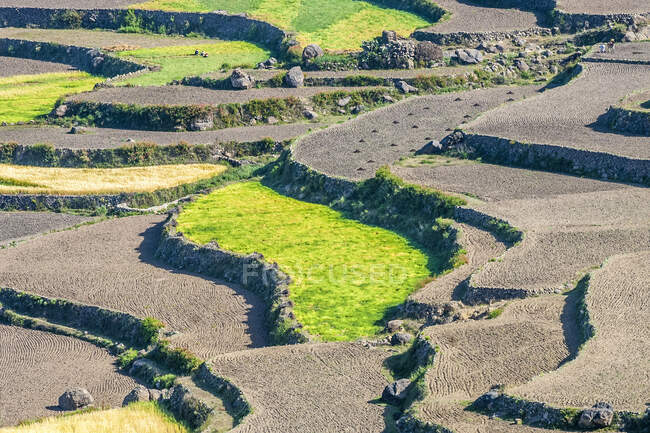 Oriente Médio, Iêmen, Centro-Oeste, região de Jebel Harraz (Patrimônio Mundial da UNESCO Lista provisória), cultivo de terraço — Fotografia de Stock