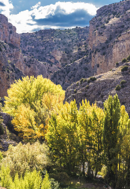 España, Comunidad Autónoma de Aragón, Provincia de Teruel, Sierra de Albarracin Comarca, Sierra de Albarracin paisaje - foto de stock