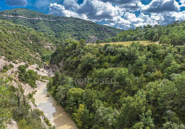 Spagna, comunità autonoma di Aragona, parco naturale Sierra y Caones de Guara, canyon del fiume Alcanadre a Bierge, pini di Aleppo e querce verdi — Foto stock