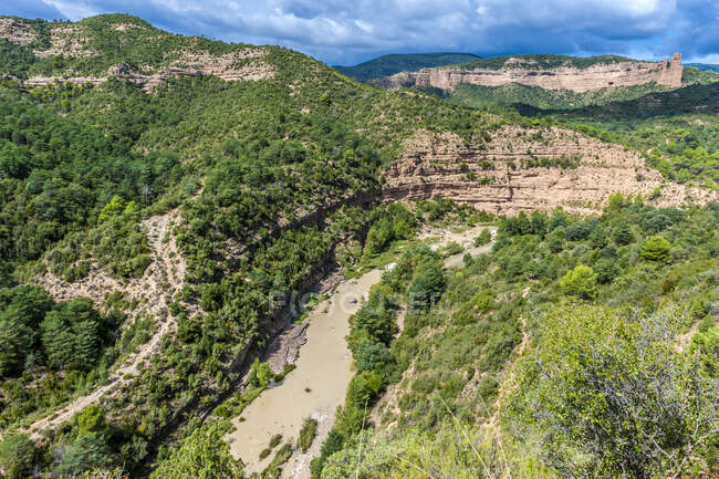 Spain, autonomic community of Aragon, Sierra y Ca? ones de Guara natural park, canyon of the Alcanadre River at Bierge, Aleppo pines and green oak tree — стокове фото