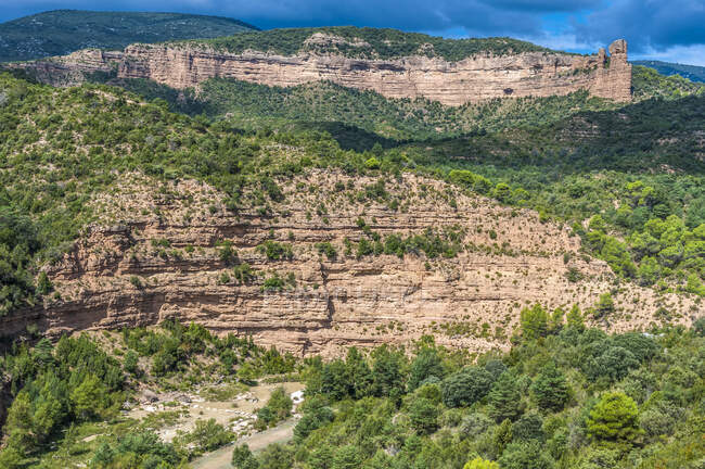 Spain, autonomous community of Aragon, Sierra y Caones de Guara natural park, canyon of the Alcanadre river at Bierge, Aleppo pines and green oak trees — Stock Photo