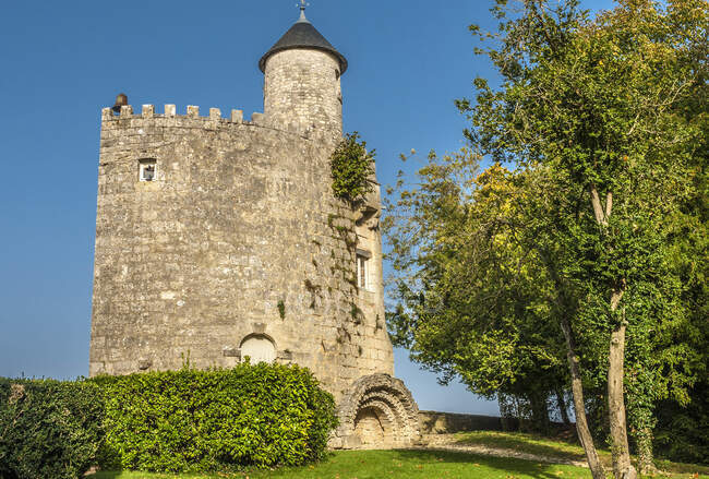 Francia, Charente Maritime, Surgeres, torre del recinto amurallado (siglo XVI)) - foto de stock