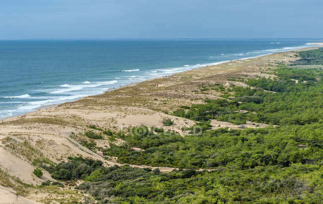 France, Charente-Maritime, view from the lighthouse of La Coubre (1905), offshore bar, state forest of la Coubre — стокове фото