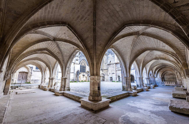 Francia, Charente Maritime, Saintes, claustro de la catedral de San Pedro - foto de stock