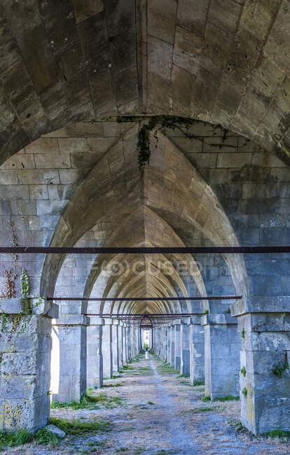 Francia, Charente Maritime, Tonnay-Charentes, ponte sospeso (1842, edificio storico) sul fiume Charente, porta pedonale e ciclistica — Foto stock