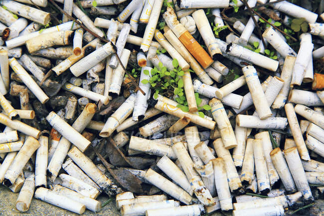 Cigarettes on the ground close up — Stock Photo