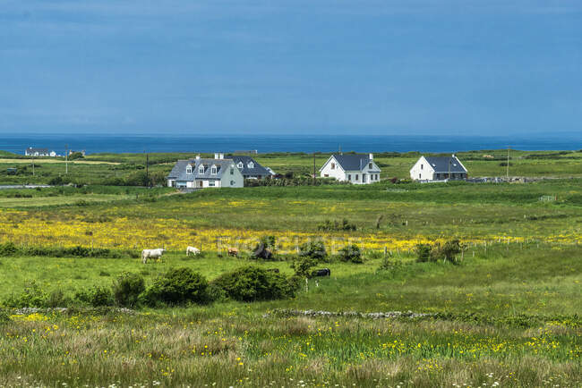 Europa, República de Irlanda, Condado de Clare, Spanish Point - foto de stock