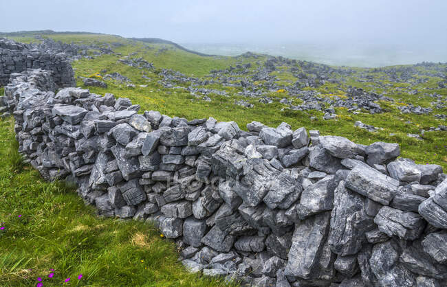 Europa, República de Irlanda, Condado de Galway, Islas Aran, Isla Inishmore, acantilados excavados junto al mar cerca del yacimiento prehistórico de Dun Aengus Ringfort (Aonghasa) (1100 a.C. - 800 d.C.) (Monumento Nacional) - foto de stock