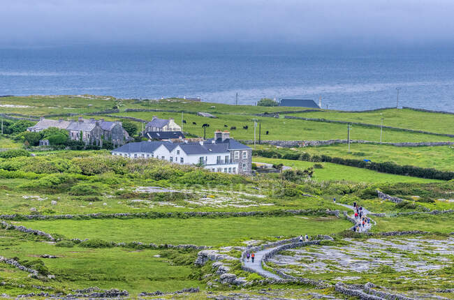 Europa, República de Irlanda, Condado de Galway, Islas Aran, Isla Irishmore, brezal cerca del sitio prehistórico del Ringfort de Dun Aengus - foto de stock