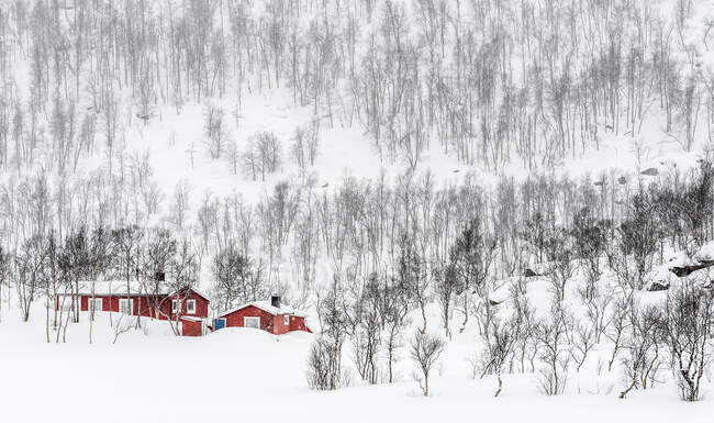 Norway, Tromso County, small red houses isolated in the snow — Stock Photo