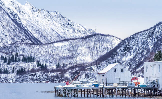 Noruega, condado de Tromso, ilha de Senja, porto de pesca no fundo de um fiorde — Fotografia de Stock