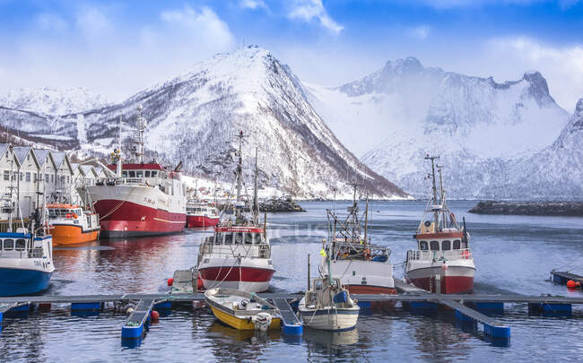 Norwegen, Tromsö County, Insel Senja, Fjordgard, Dorschhafen Husoy — Stockfoto