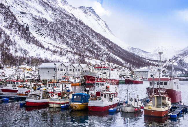 Норвегія, округ Тромсе, острів Сеня, Фйордгард, порт Хусея — стокове фото