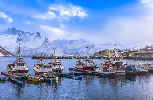 Noruega, Condado de Tromso, Isla Senja, Fjordgard, Puerto de bacalao Husoy - foto de stock