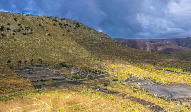 Spain, Canary Islands, Isle of Lanzarote, terraced crops in Caleta de Famara — Stock Photo