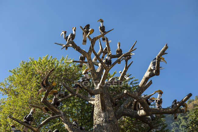 Totem avec de nombreux oiseaux sculptés en bois, Kisama, Nagaland, Inde — Photo de stock