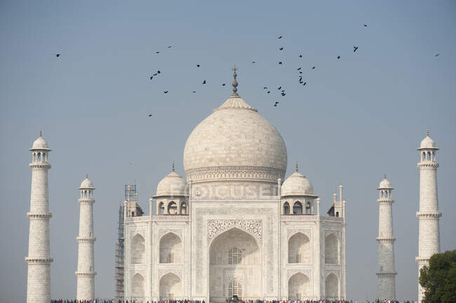 Um bando de pássaros escuros sobre o puro monumento Taj Mahal, Agra, Índia — Fotografia de Stock