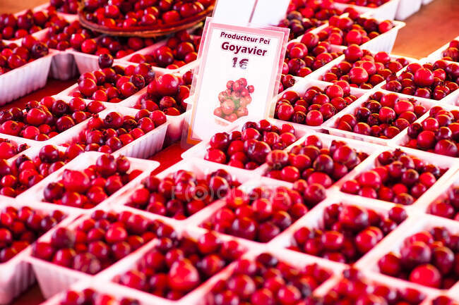 Punnets de guayaba, La Reunion, Francia - foto de stock