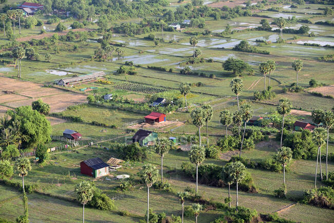 Camboya, Siem Raep, Angkor, Vista aérea, Campos de arroz y palmeras - foto de stock