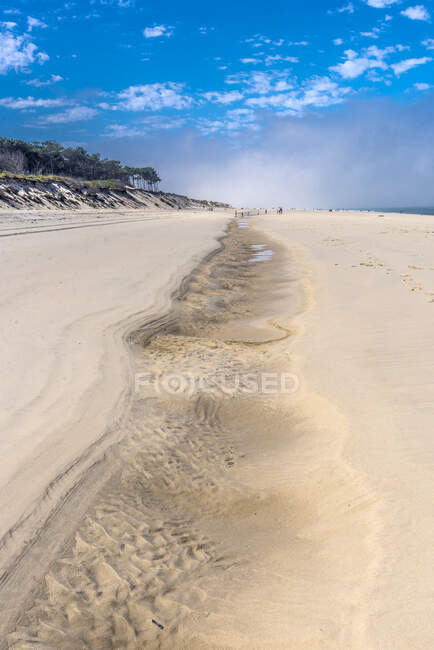 France, New Aquitaine, Arcachon bay, Gironde, formation of a baine at low tide between the Petit Nice beach and La Lagune beach and fog in the background — Stock Photo
