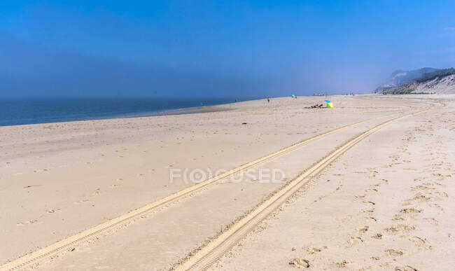 France, New Aquitaine, Arcachon bay, Gironde, wheel marks at low tide between the Petit Nice beach and La Lagune beach, and fog in the background — Stock Photo
