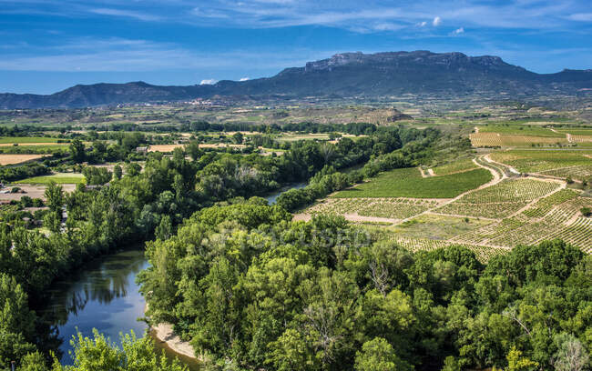 España, Rioja, Briones pueblo medieval (el pueblo más hermoso de España), meandro del Ebre visto desde el pueblo (Camino de Santiago) - foto de stock