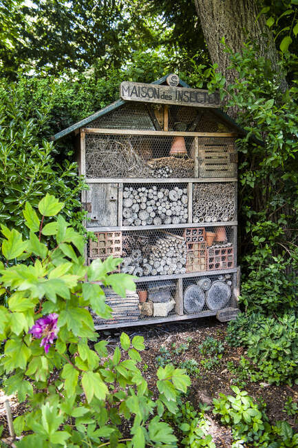 Casa de la biodiversidad de insectos en los jardines de Luxemburgo, París, Francia - foto de stock