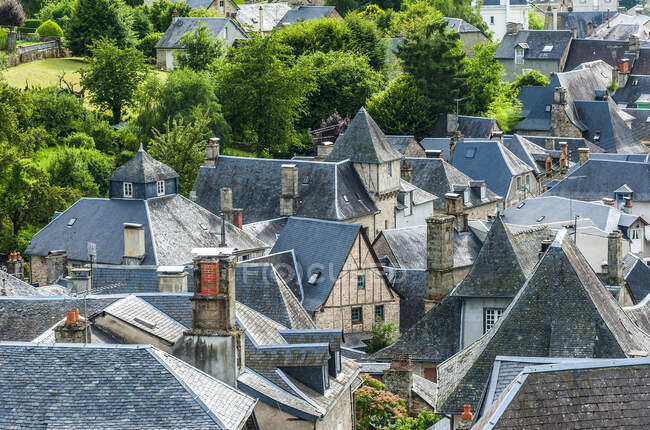 Francia, Limousin, Coreze, vista de los tejados de pizarra de Treignac-sur-Vezere - foto de stock