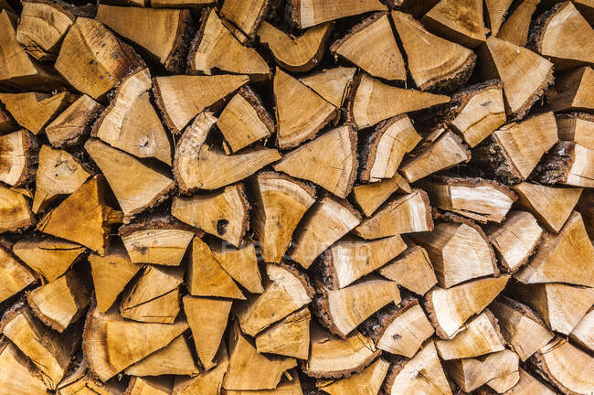 France, Limousin, Coreze, bundle of wood — Stock Photo