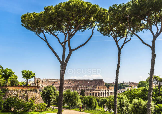 Italia, Roma, giardino del Monte Palatino e vista sul Colosseo — Foto stock