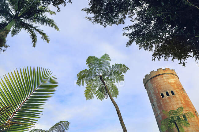 Usa, Porto Rico, El Yunque, ліс. Йока? - оглядова вежа. — стокове фото